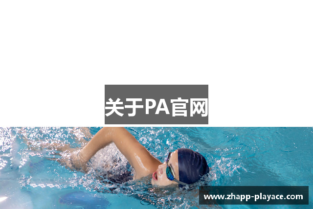 关于PA官网